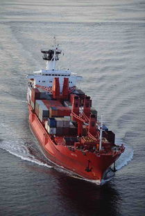 霍尔果斯至布兰太尔与利卡西的汽运货运代理服务全解析