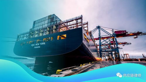 从请求权基础视角探析货损语境下签署货运代理合同是否必然成立货运代理合同关系