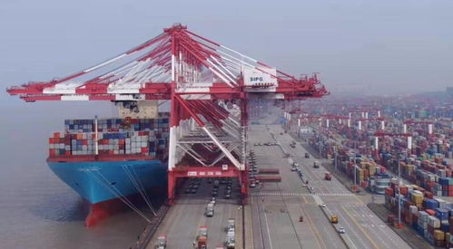 上海口岸或迎报复性出货潮，货代凶猛报关再现