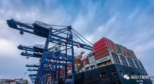 外贸货代企业，是时候和伊朗业务说再见了