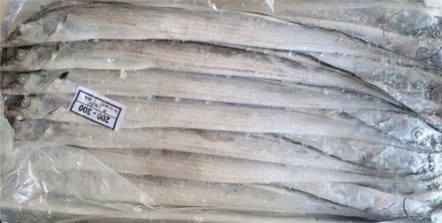 天津一批冻猪肘检出新冠阳性事件 紧急通报与防控反思